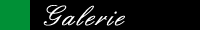 Galerie