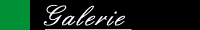 Galerie